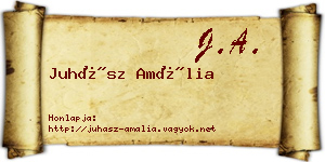 Juhász Amália névjegykártya